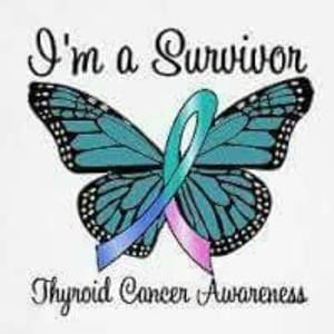 Meet your Posher, Krystal